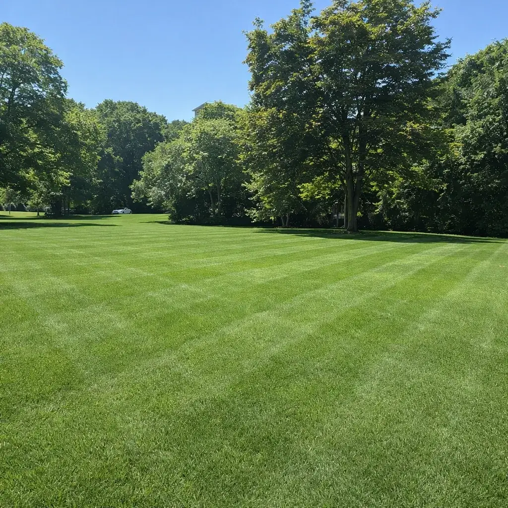 After seasonal cleanup: clean, raked yard in New London County, CT