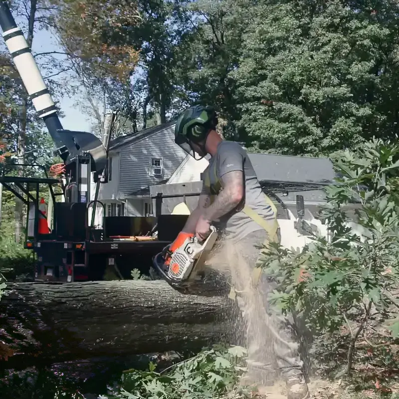 Branched Out arborist cutting a felled trunk with a chainsaw during small-scale clearing in New London County, CT