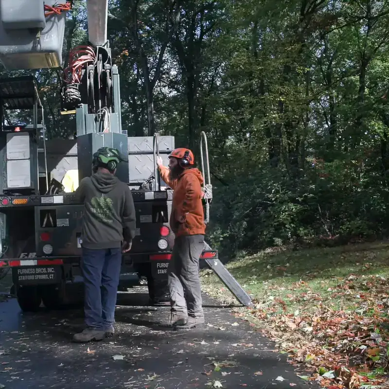 Branched Out tree crew working at the back of the bucket truck on a residential job in New London County, CT
