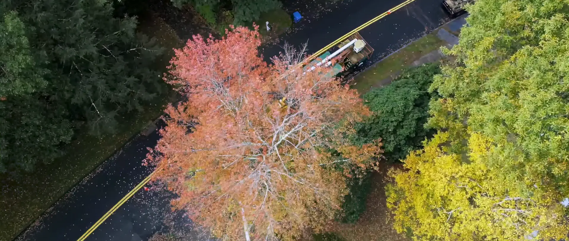 Aerial drone view of fall trees and the Branched Out truck on a tree service job in New London County, CT