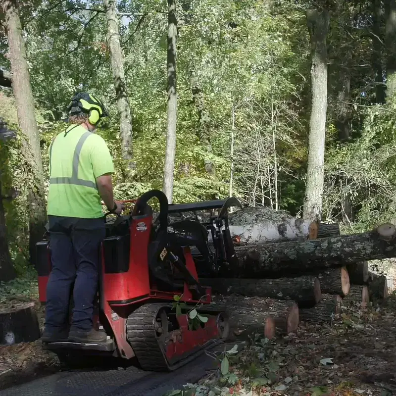 Compact track loader moving cut logs during a yard expansion and land clearing job in New London County, CT